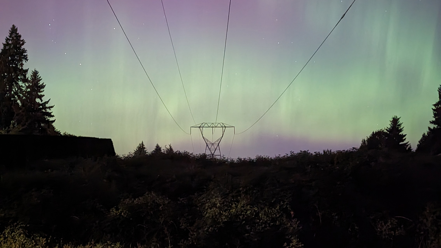 night sky with silhouette of tree skyline and transmission lines and towers running through the center of the image