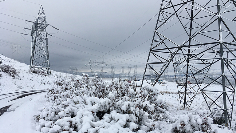snowy bush in foreground with snow-covered landscape of road and transmission lines zig zagging across image