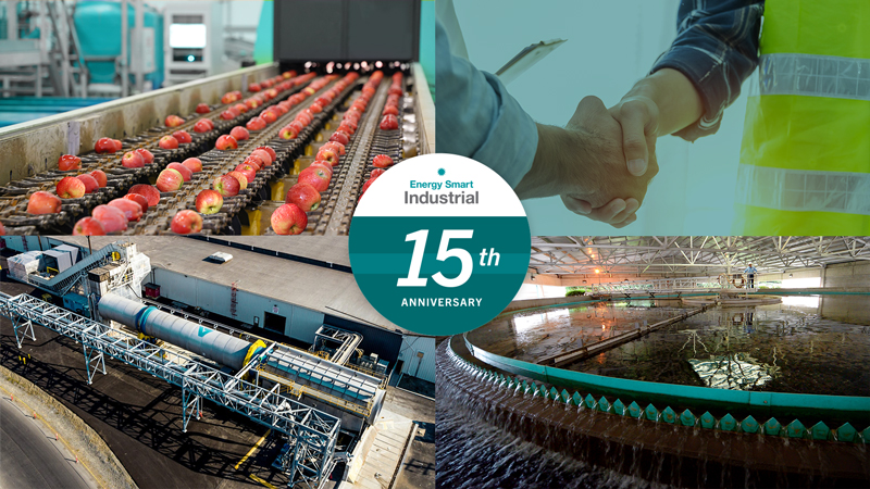 esi 15yrs success program