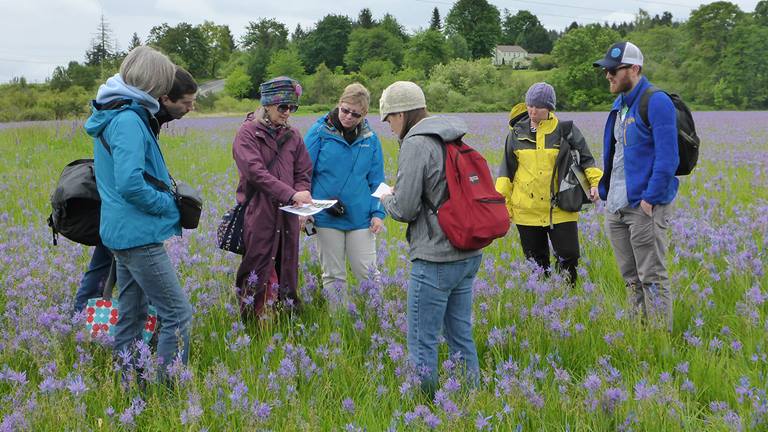 Nancy Wittpenn, a leader in the Pollinator Workgroup, receives impressive national technology award for her contributions to EPRI’s Power for Pollinators documentary.